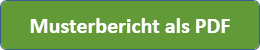 Musterbericht als PDF